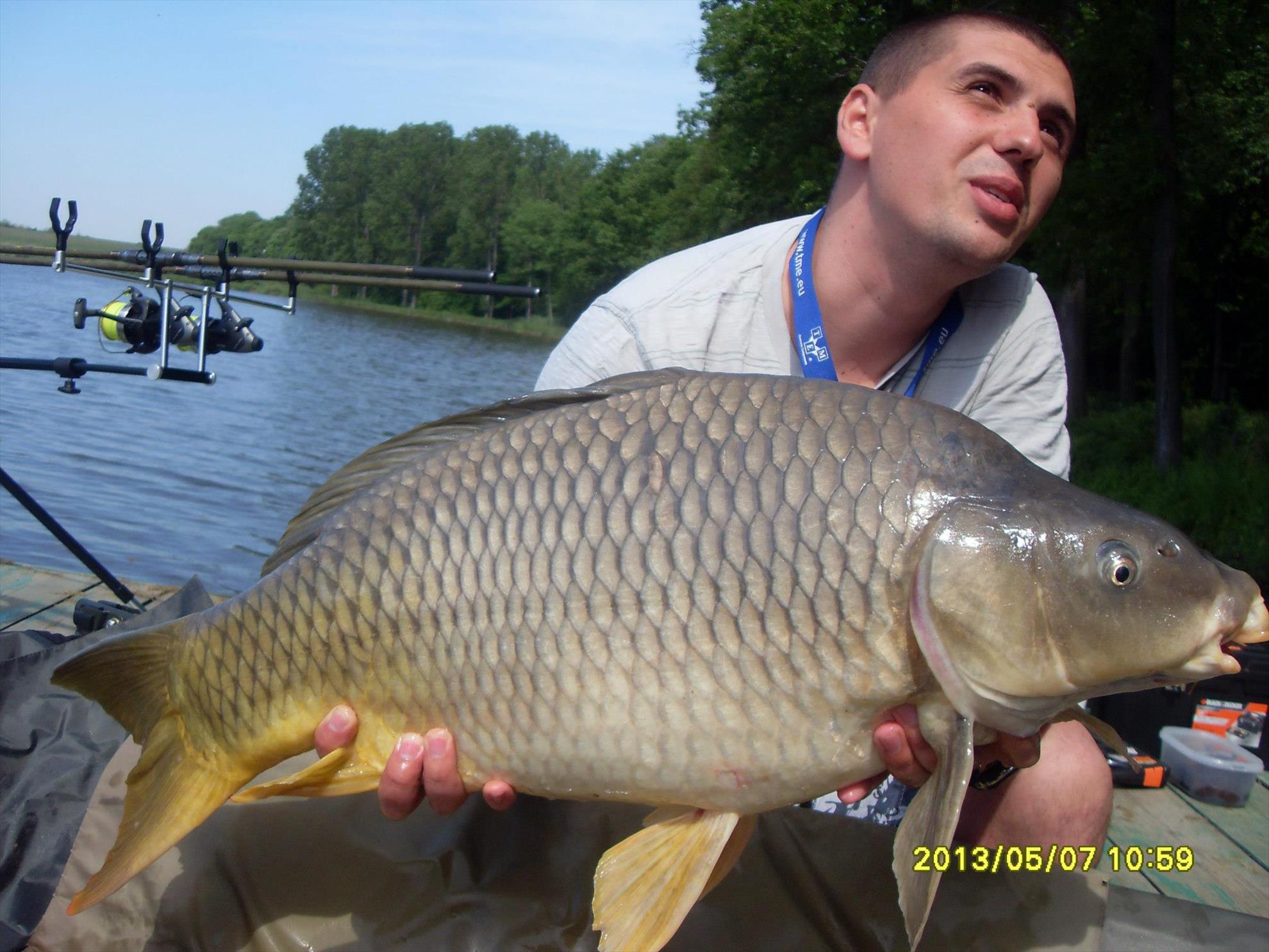 Crapturi - 477161378837272231663146600464o.jpg